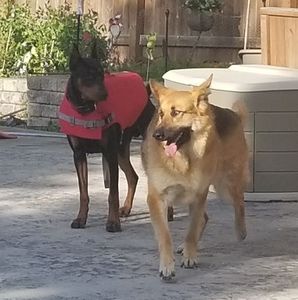 Meet your Posher, Nancy